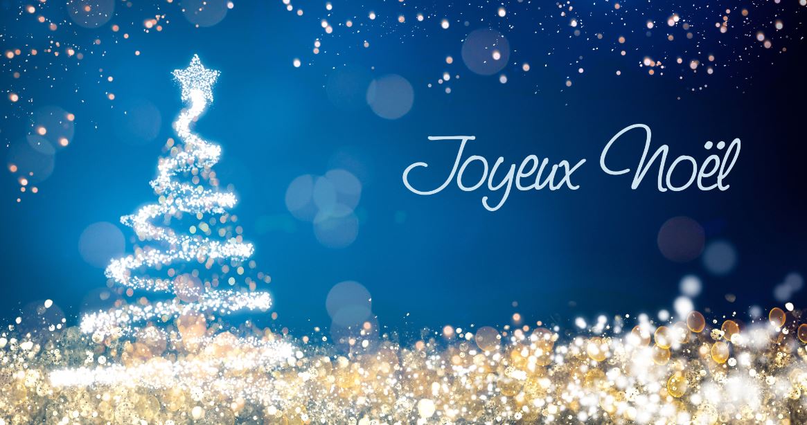 L'EHNA vous souhaite un Joyeux Noël ! Lille, Lyon et Toulouse